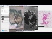 Embedded thumbnail for Introduction to Sedeen